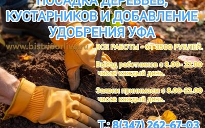 Посадка деревьев, кустарников и добавление удобрения Уфа. Недорого! Работники - 8 часовой день!