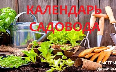 Календарь садовода Уфа